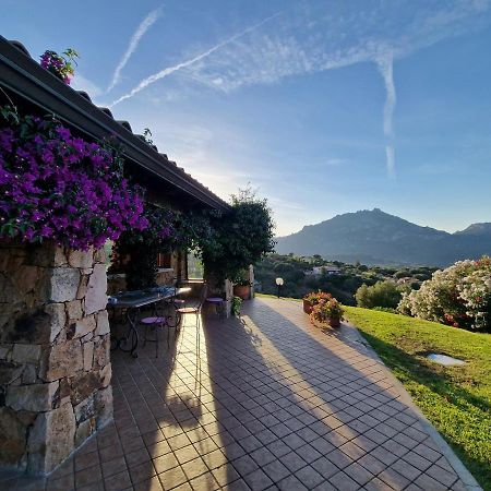 Villa Stazzu Sa Murta Cugnana Exteriör bild